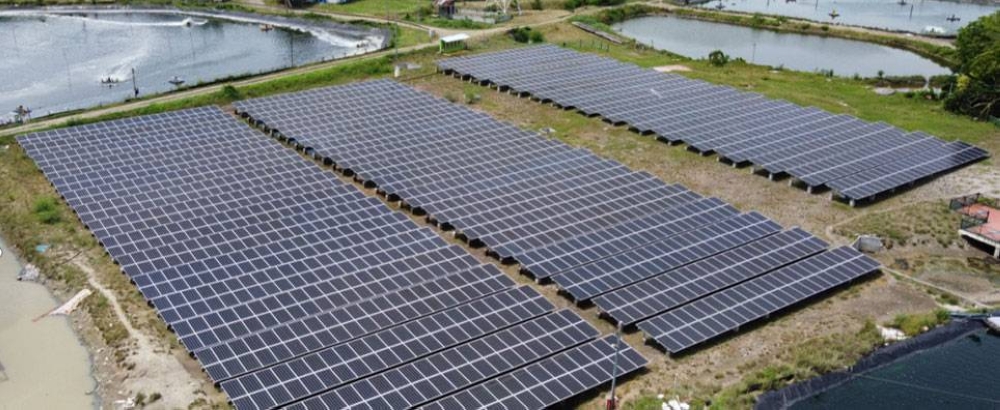 Shrimp Farm Taps Solar Energy The Manila Times