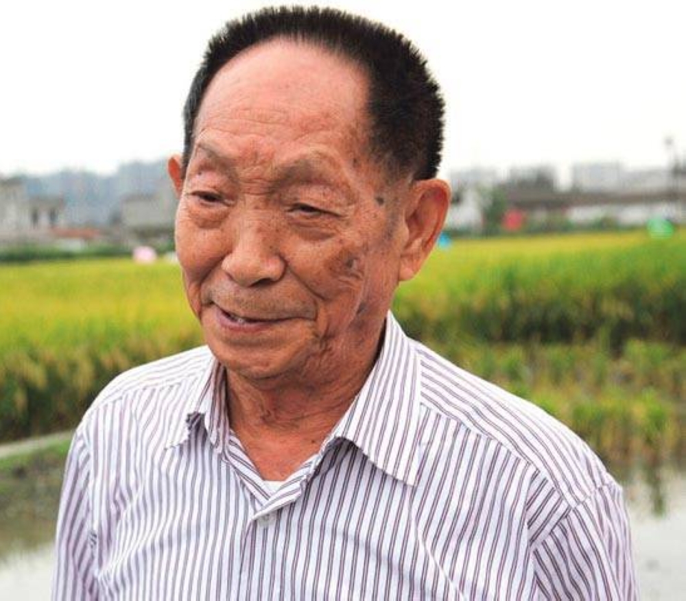 Yuan Longping, 'Father of Hybrid Rice,' dies at 91 | The Manila Times