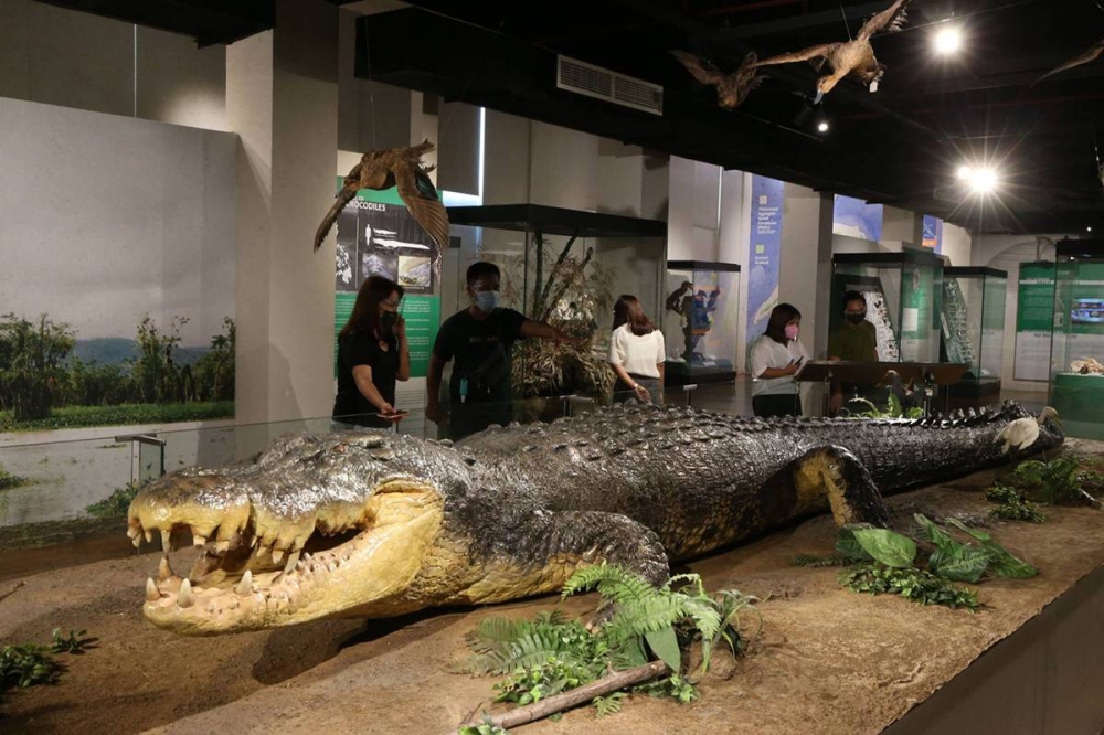 Filipino tycoon turns crocodiles into sisig, Louis Vuitton