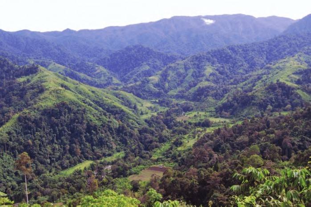 Mount Busa Pushed As National Protected Area 