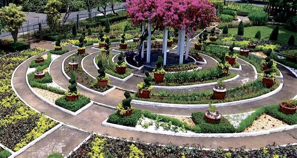 The edible garden located inside the University of the Philippines Los Baños campus also looks like a typical garden, except that it is also planted with vegetables. UPLB PHOTO