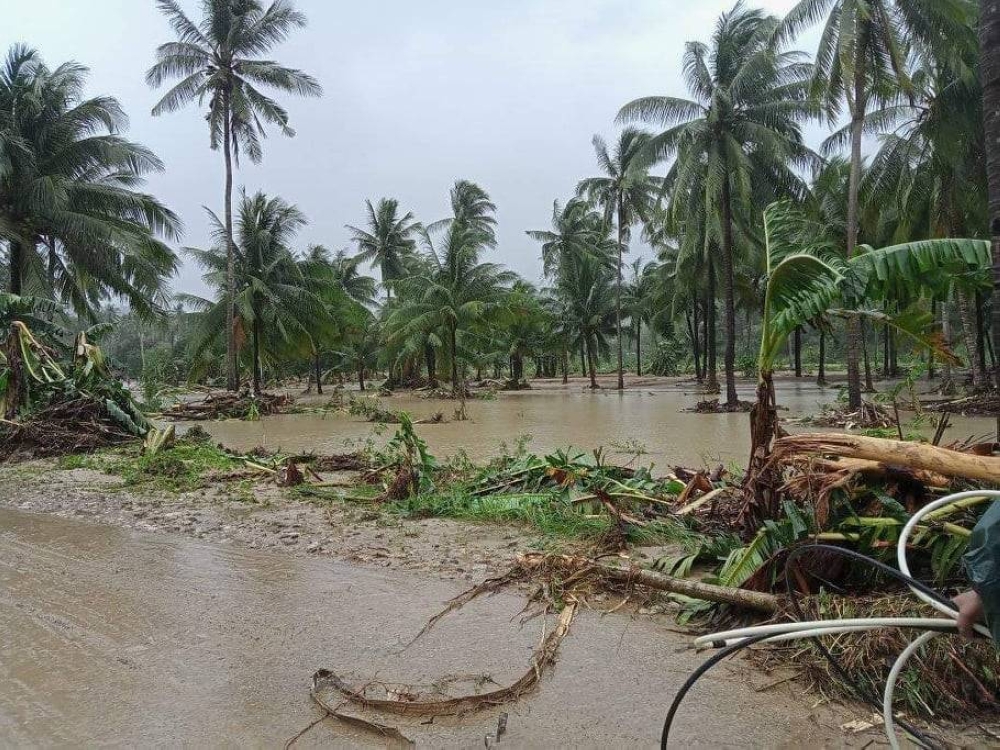 'Odette' damage to agriculture hits P9B | The Manila Times