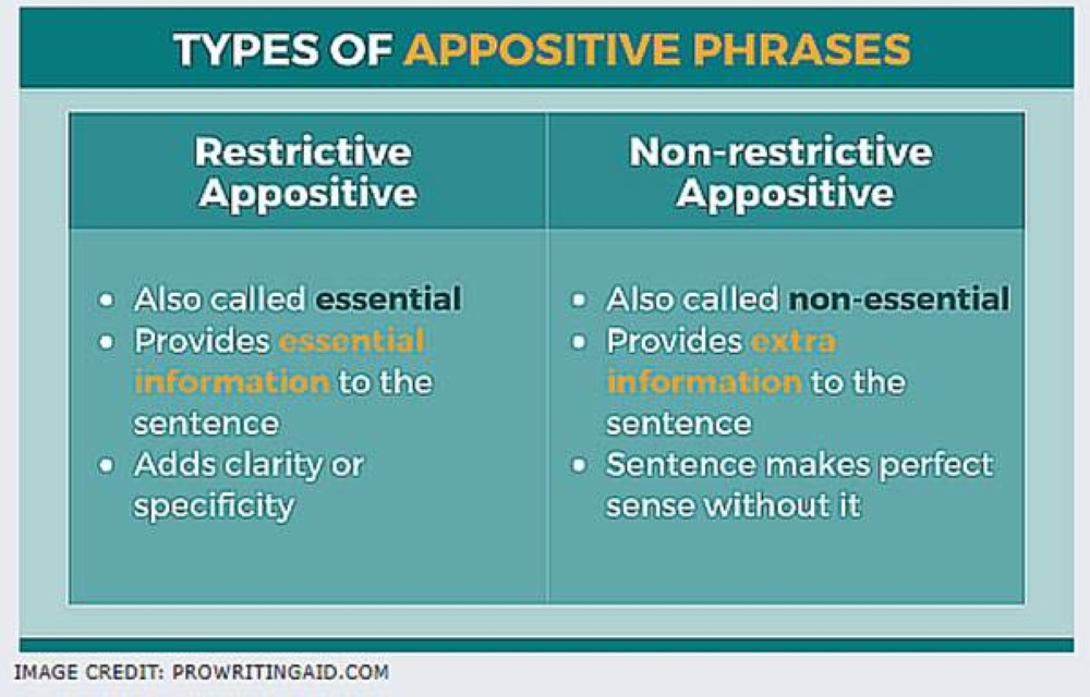 appositives and interrupters