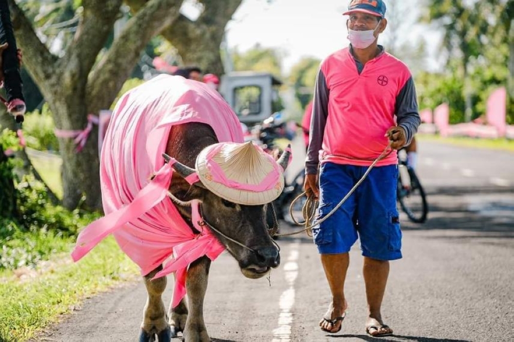 Carabao is good source of meat | The Manila Times