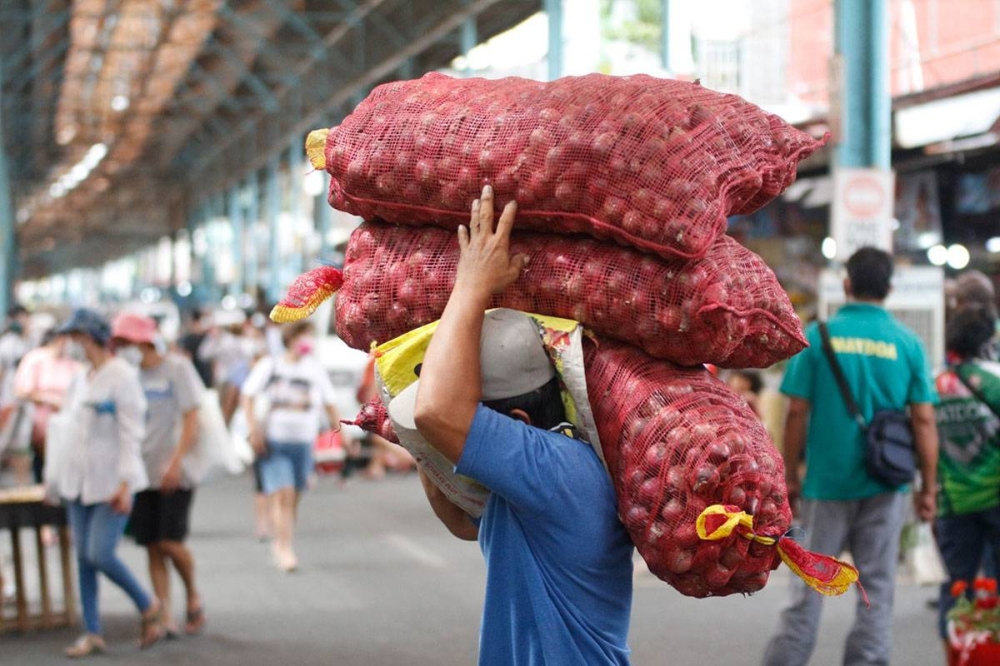 Group Farm gate price of onions is P30 per kilo The Manila Times