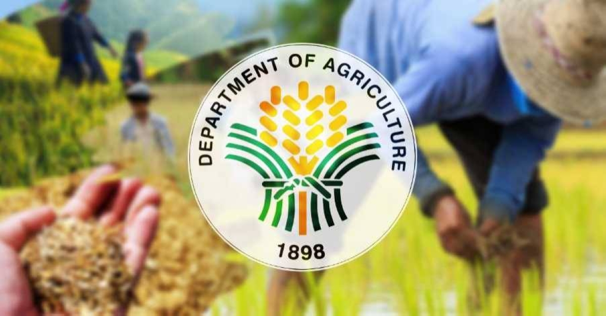 Warning to Illegal hybrid rice seed sellers | The Manila Times