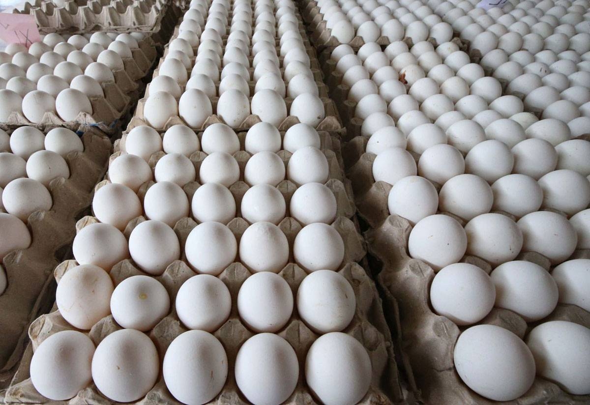 Prices of eggs seen to further increase The Manila Times