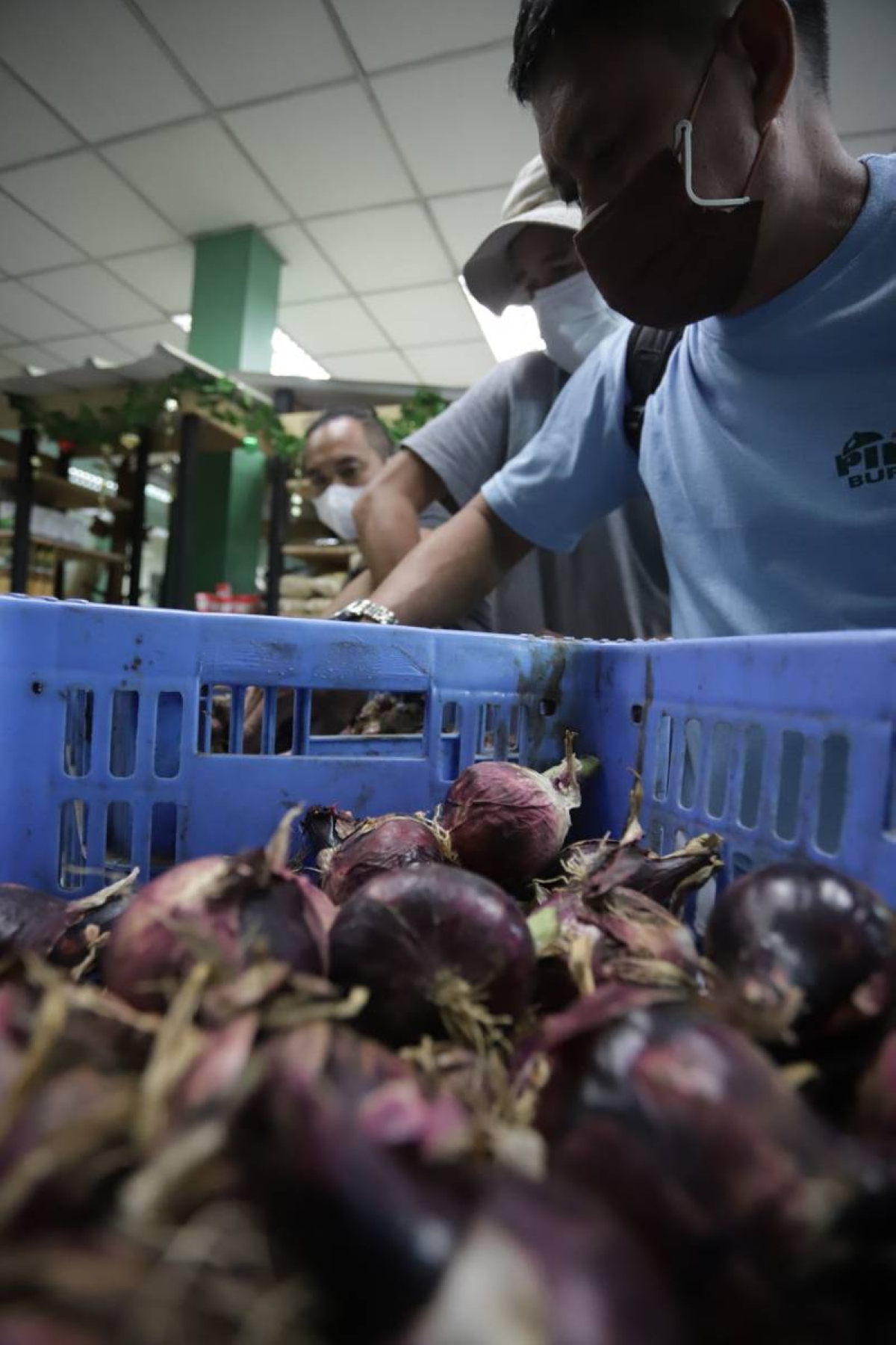 cheap-onions-the-manila-times