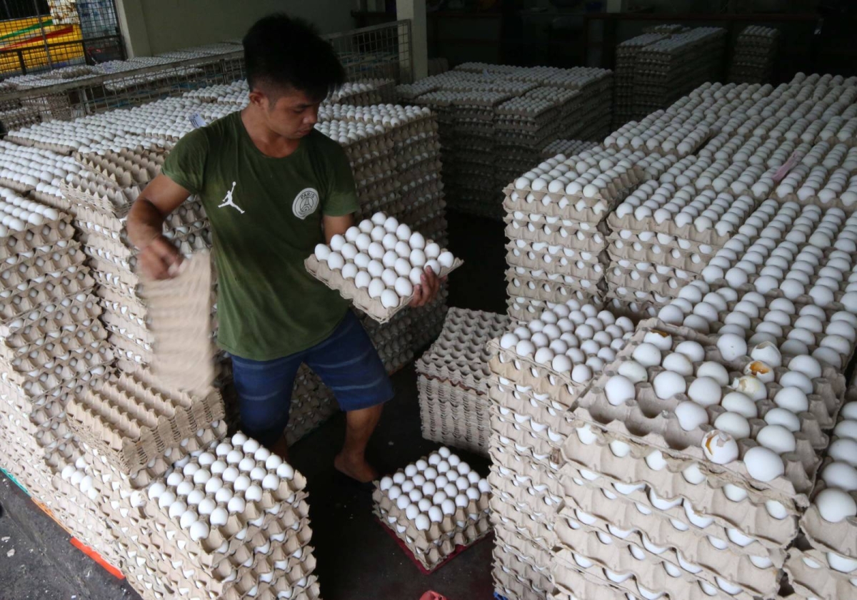 Egg prices up amid tight supply The Manila Times