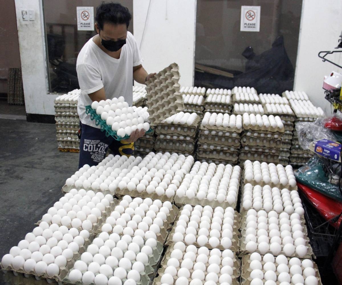 Shop the Latest Egg Bags in the Philippines in November, 2023