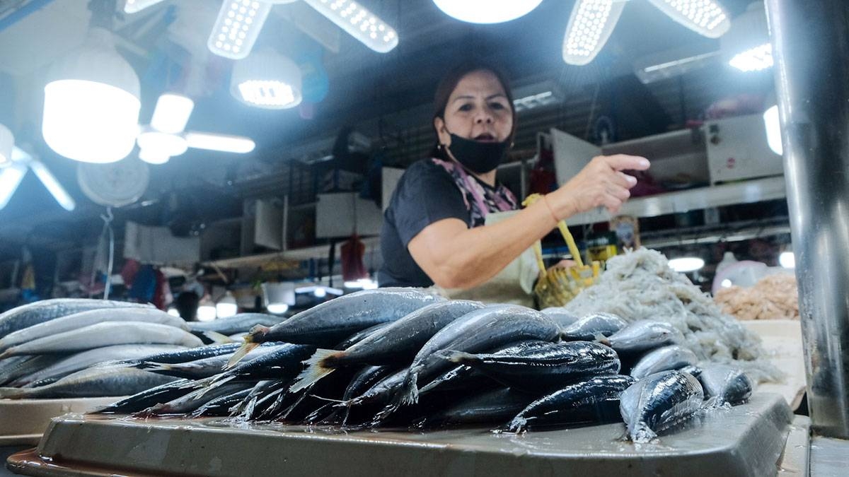 Traders See 50 Cut In Galunggong Prices The Manila Times 9548