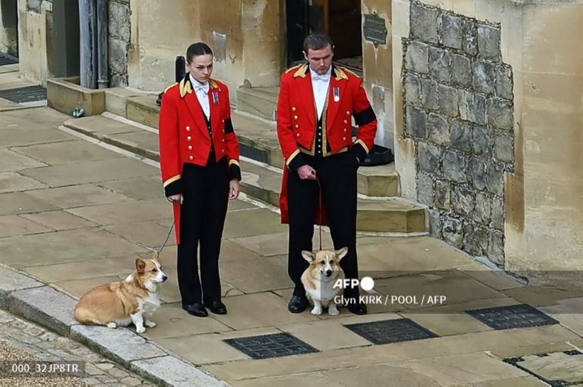 Queen's corgis take the crown at new London exhibition | The Manila Times