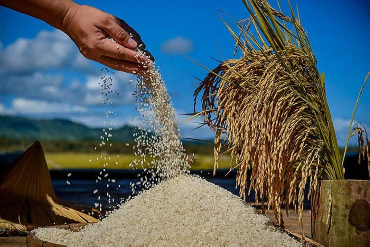 p25-per-kilo-rice-still-a-dream-group-the-manila-times