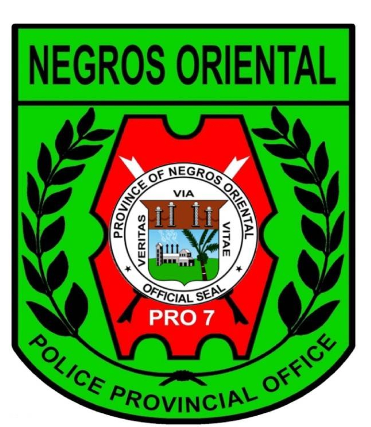 Negros Oriental Police Chief Relieved | The Manila Times