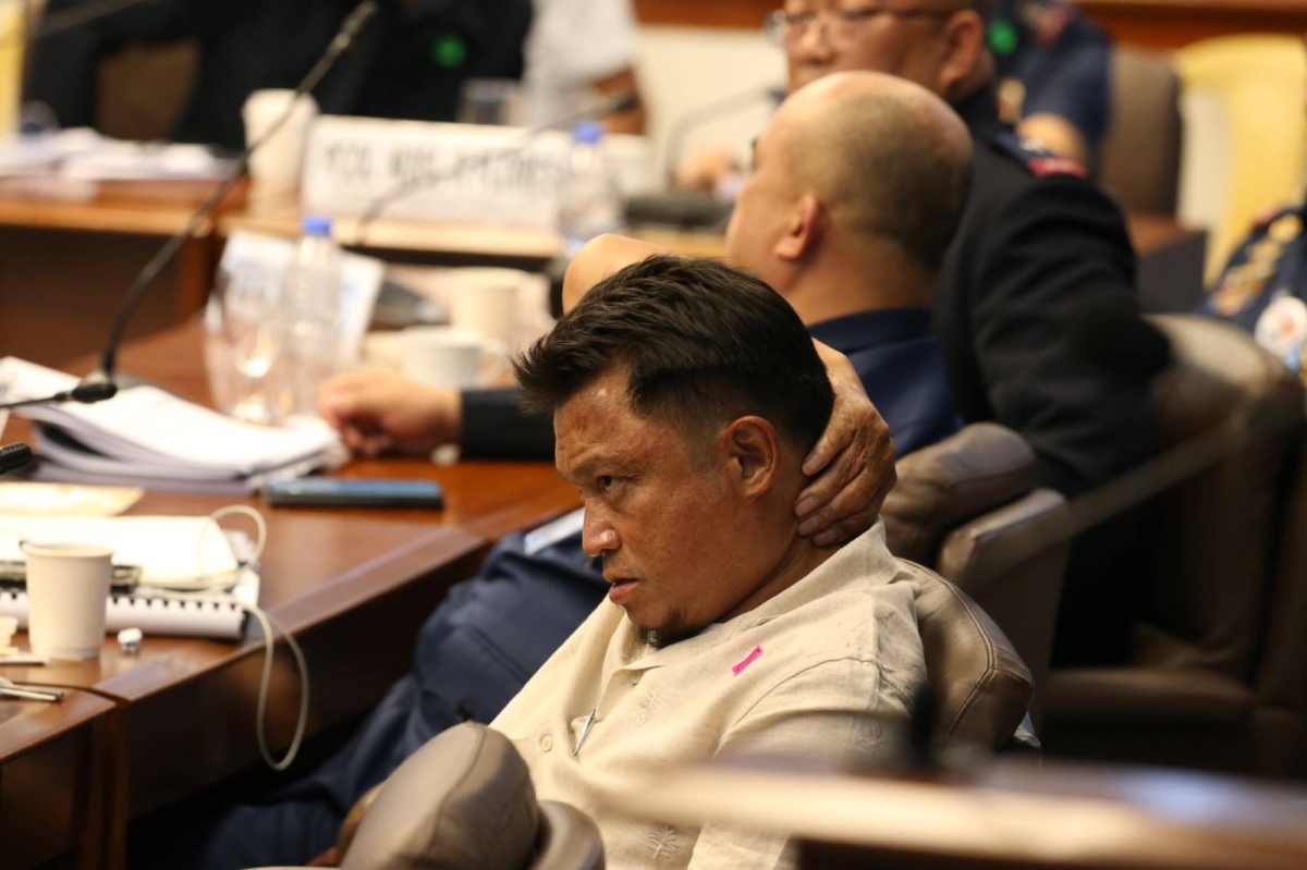 Senate Panel Resumes Probe On Degamo Slay Political Killings The