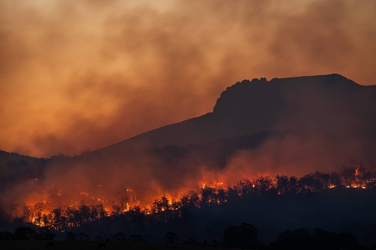 Heat wave and wildfires scorch east Canada | The Manila Times