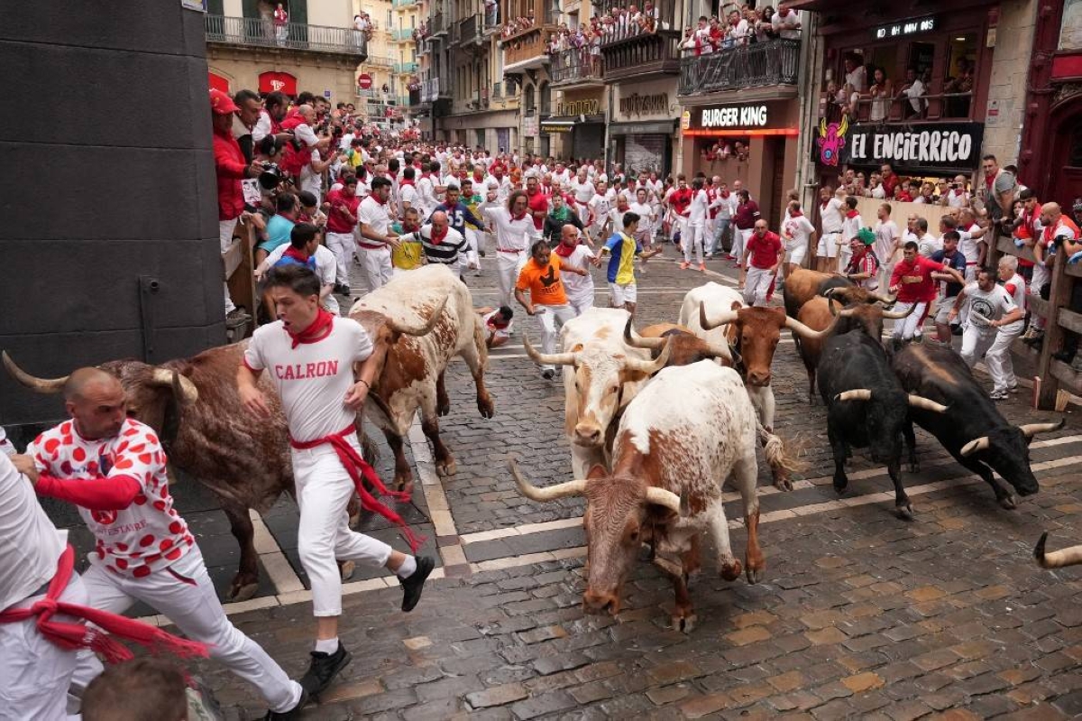 Thousands take part in first running of bulls in Spanish festival The