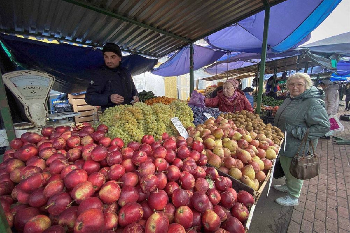 Red, juicy, heat resistant: the hunt for a climate-proof apple