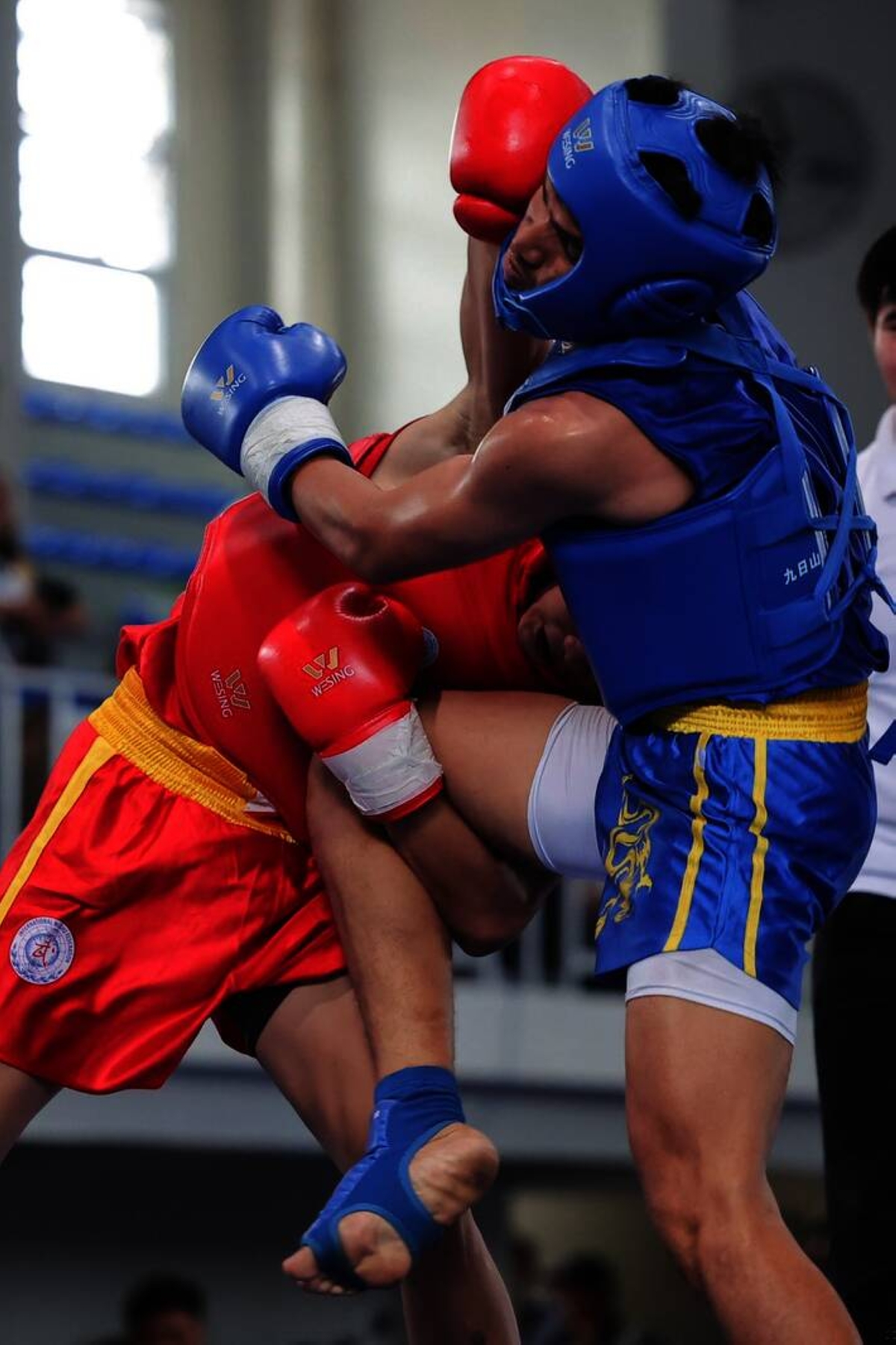 WUSHU WINNER | The Manila Times