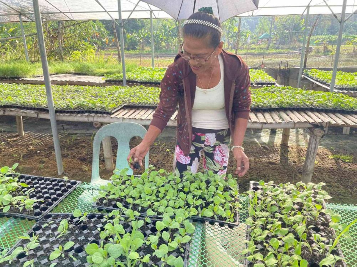 YOUNG FARMERS Kevin Wayne Baga and his girlfriend, Ana Cristina Guiang, at their KA-Bukid Propagation Farm in Batac City, Ilocos Norte. They specialize in seedling production for local farmers to grow. PHOTO BY LEILANIE G. ADRIANO