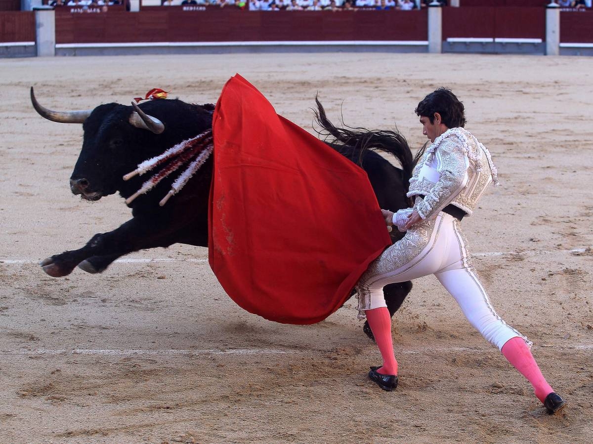 Colombia Congress Passes Bill Banning Bullfighting | The Manila Times