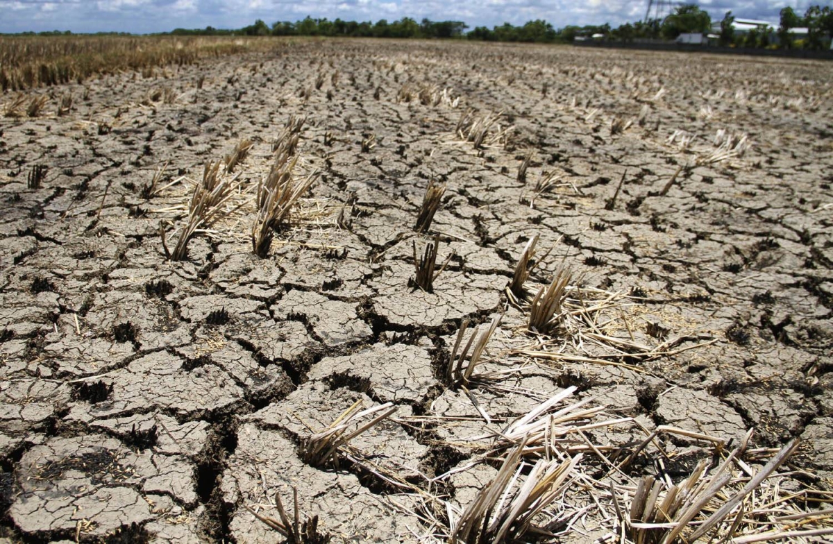 El Niño damage to crops tops P15B | The Manila Times