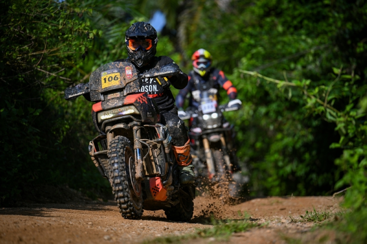 马来西亚哈雷戴维森 (Harley-Davidson) 驾驶 Pan America 1250 在 2024 年 Rimba Raid 中获胜 |马尼拉时报