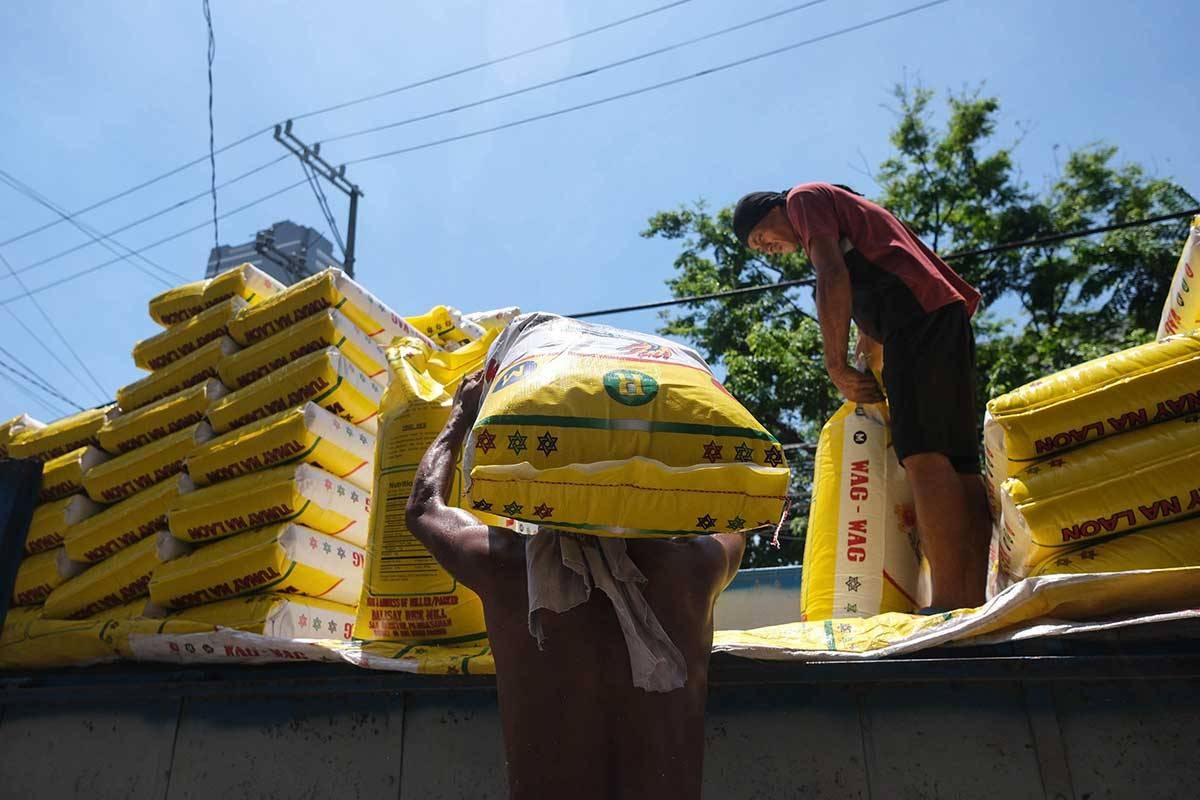 Las importaciones de arroz alcanzaron los 4,25 millones de toneladas