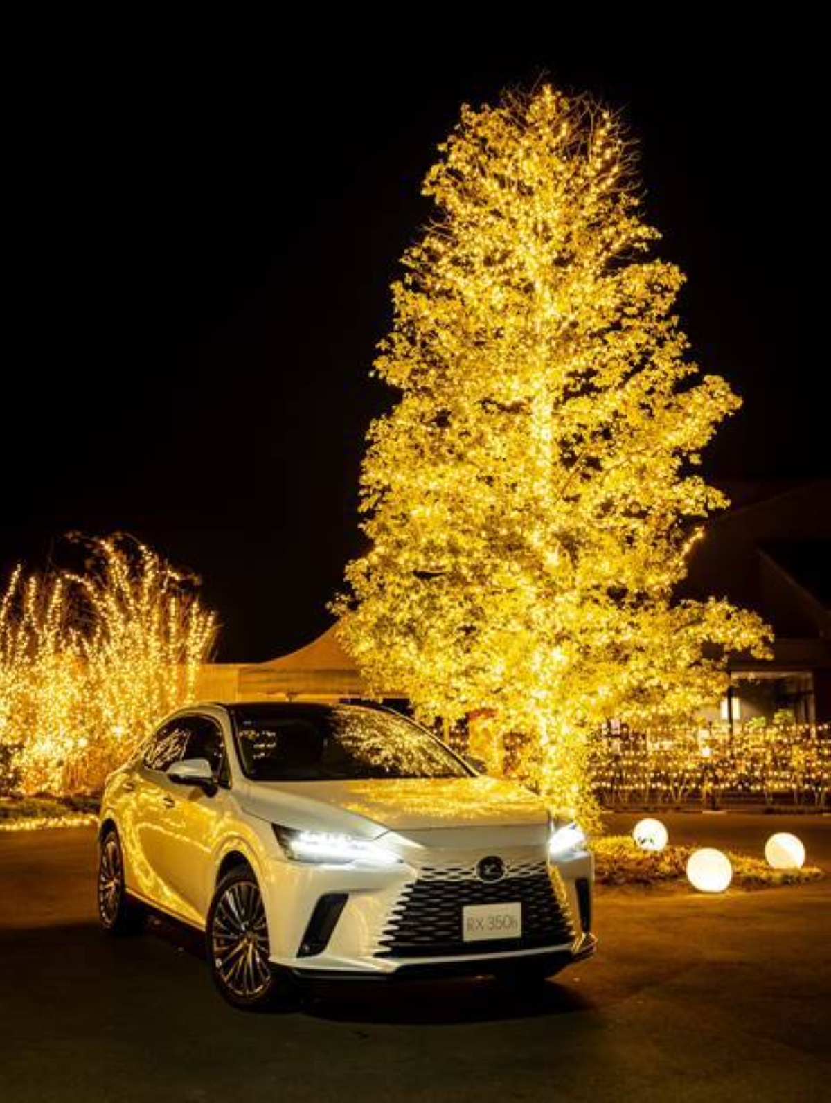 Make December a Christmas to cherish with Lexus The Manila Times