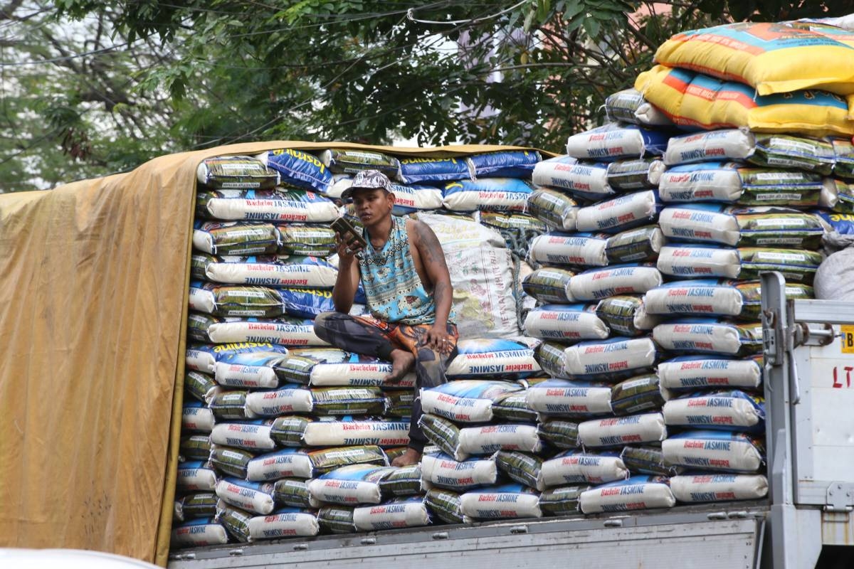 DA: El presupuesto recuperado ayudará a aumentar la producción de arroz.