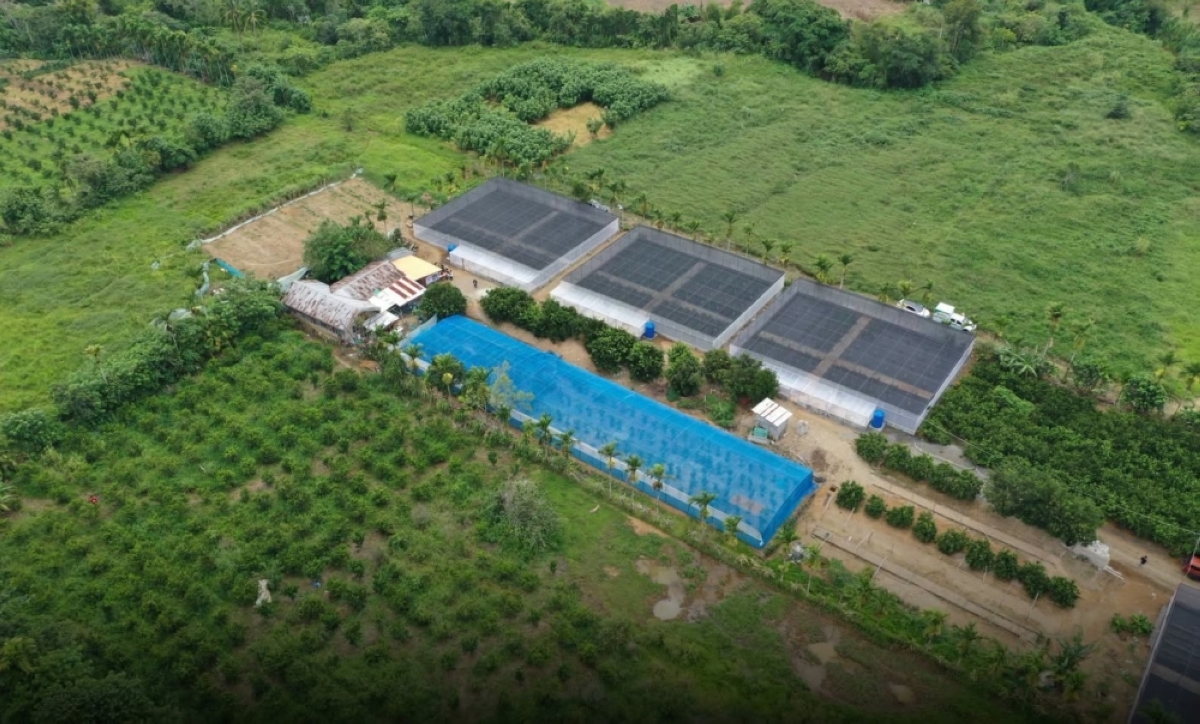 Vizcaya gets citrus nursery facility