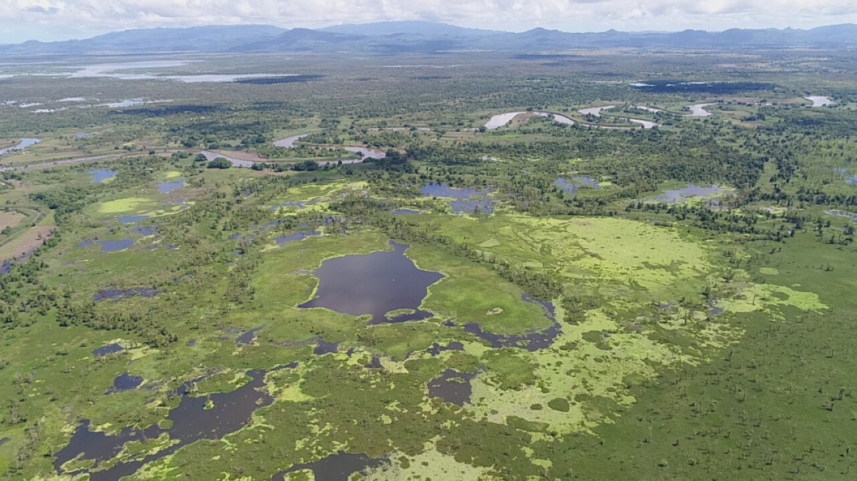 The Agusan Marsh Wildlife Sanctuary in Agusan del Sur. PHOTO FROM DENR