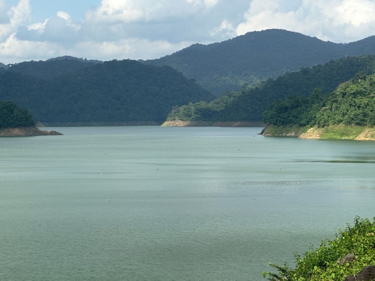 The Angat Watershed Forest Reserve. PHOTO FROM FOREST FOUNDATION PHILIPPINES