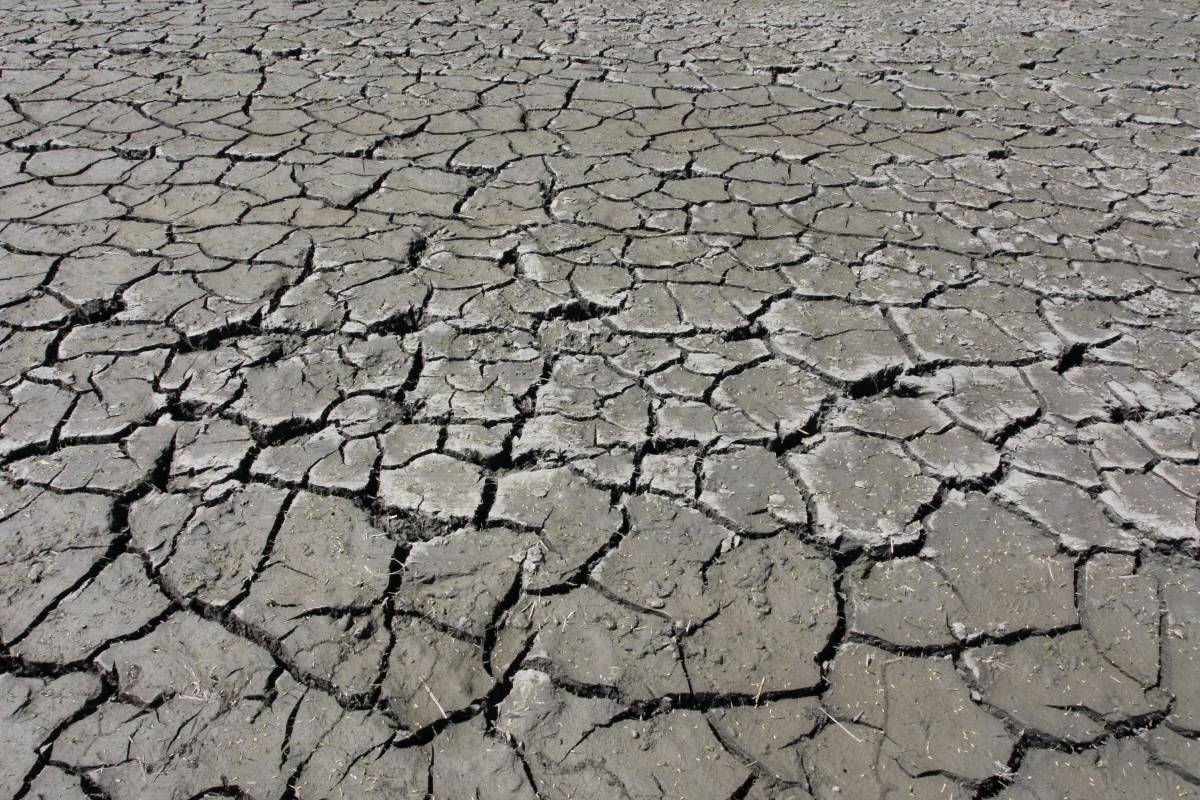 More water tankers urged for Cebu ahead of El Niño
