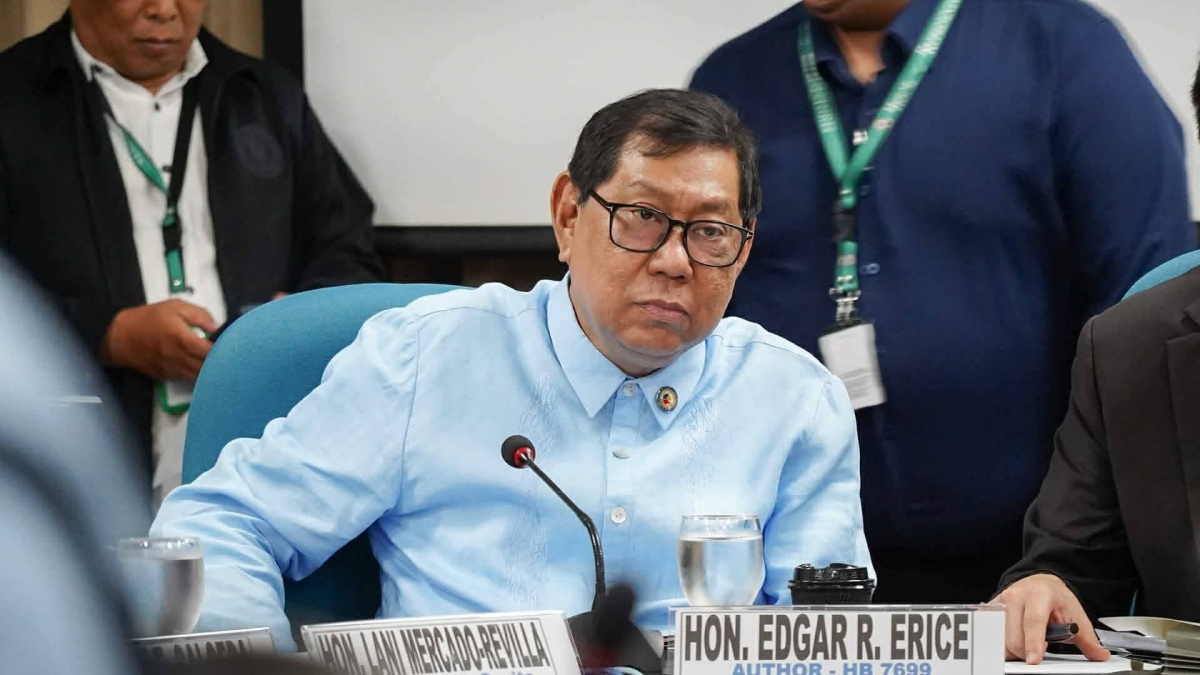 Erice says political considerations prevail over House budget allocations