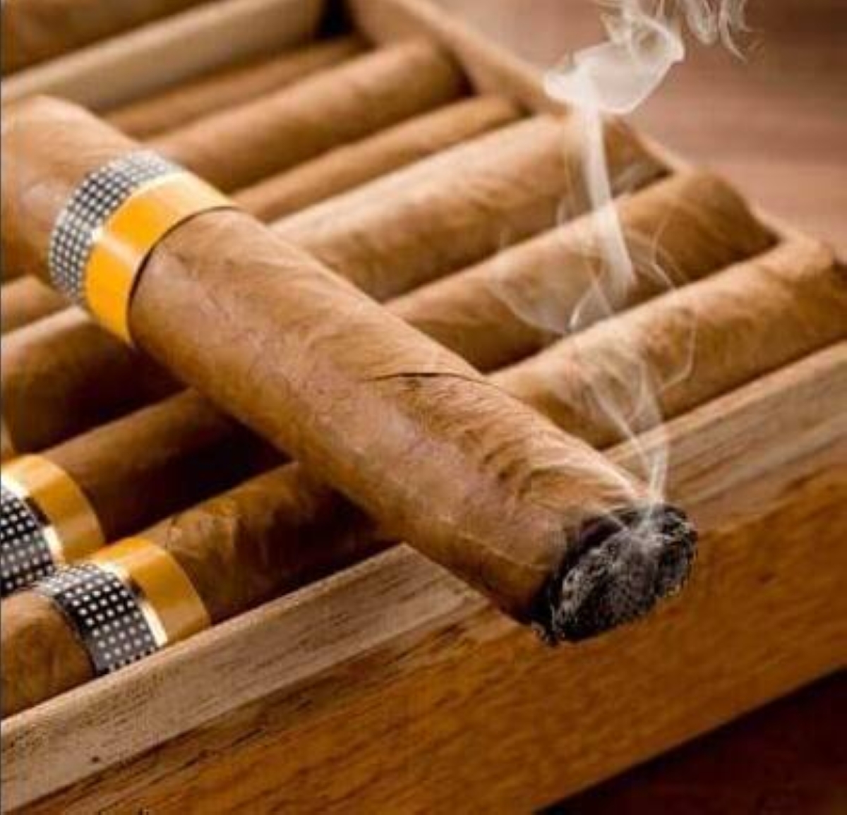 Group urges risk-based taxes for nicotine products