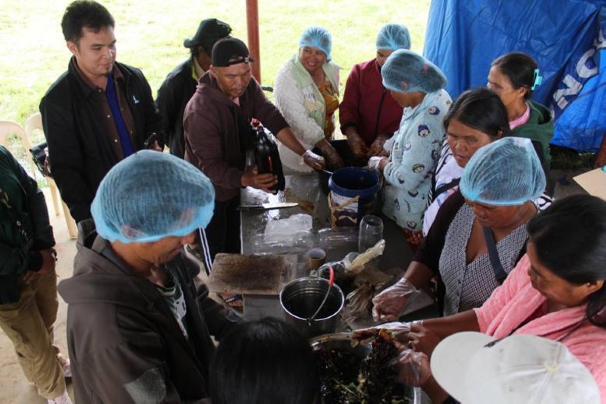 Talaandig farmers prepare organic agricultural products during hands-on training, applying techniques introduced through practical demonstrations and guided activities.
