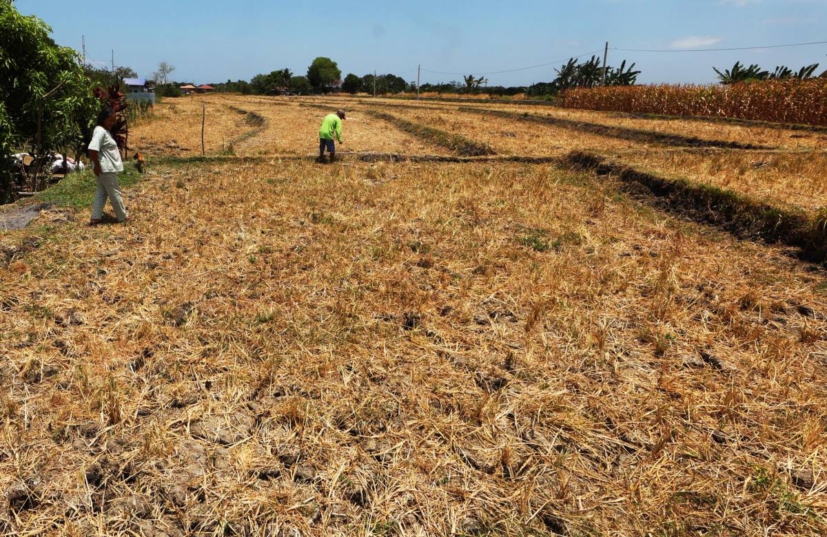 UN monitoring effects of El Niño in PH