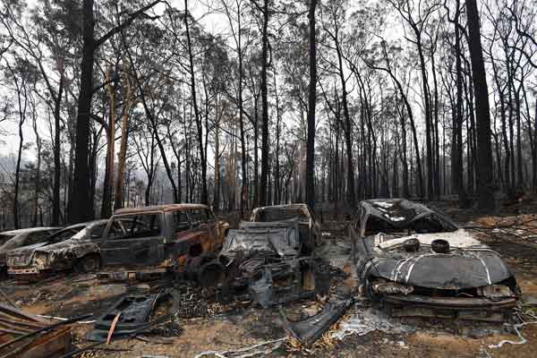 100+ plants destroyed in Australia bushfires | The Manila Times